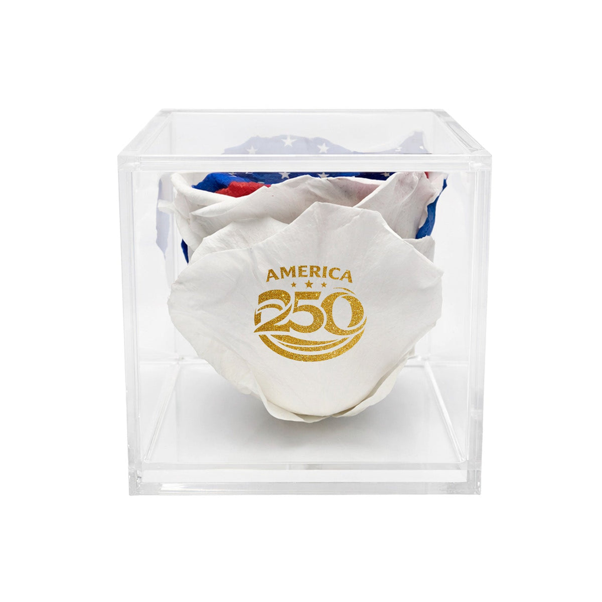 Stemless Patriotic Preserved Rose