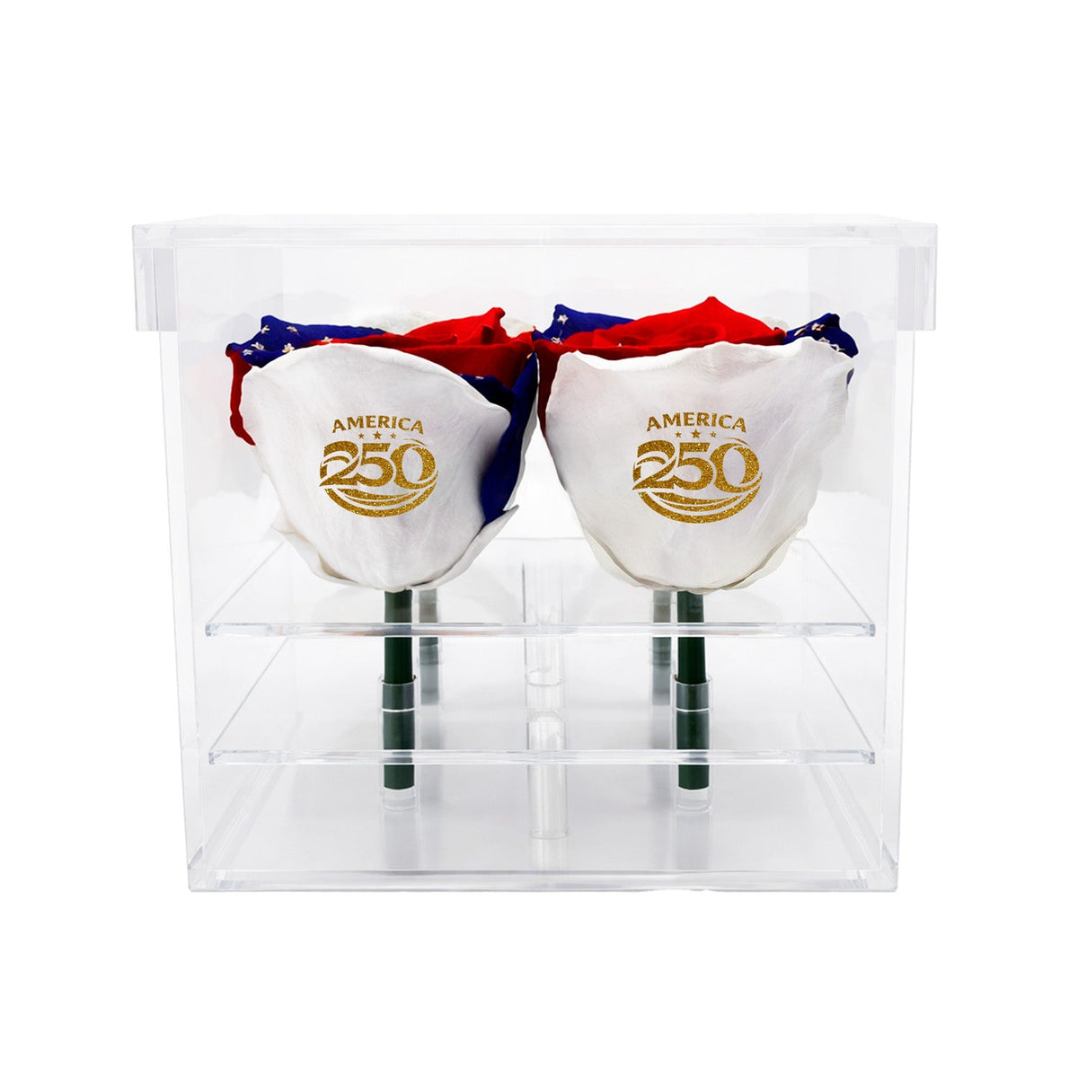 Patriotic Preserved Roses (4 Stems)