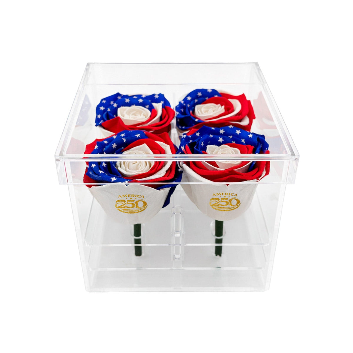 Patriotic Preserved Roses (4 Stems)