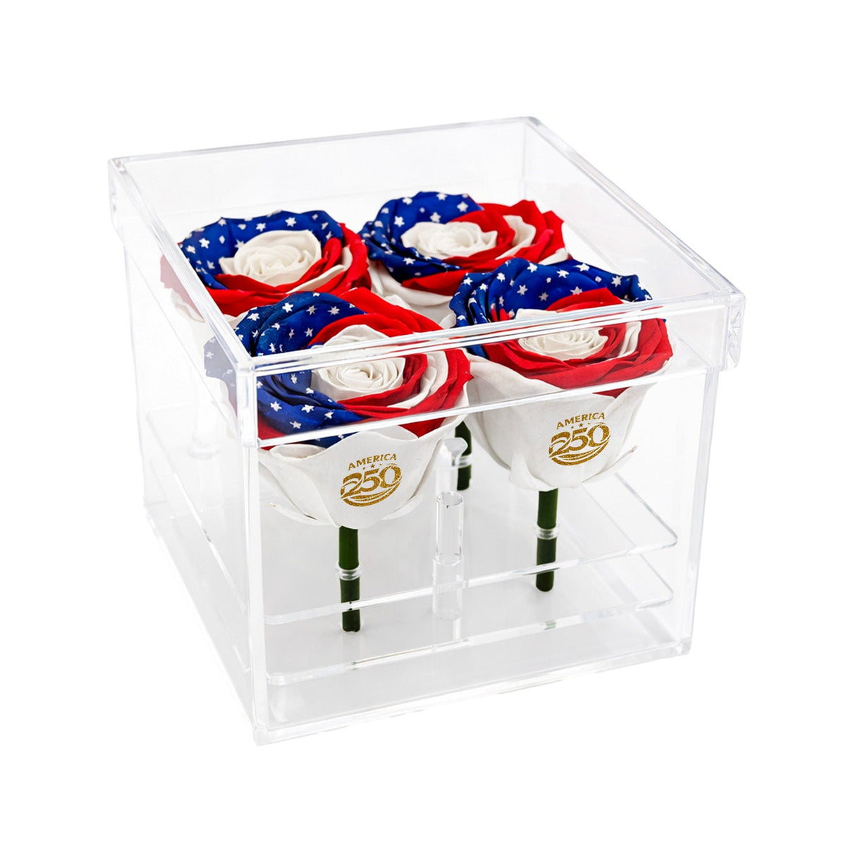 Patriotic Preserved Roses (4 Stems)