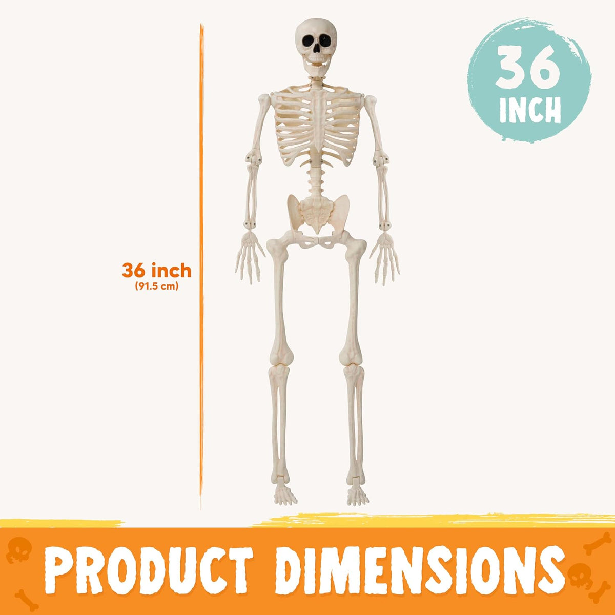 JOYIN 2 PCS 3 FT Posable Skeletons - Halloween Hanging Decoration
