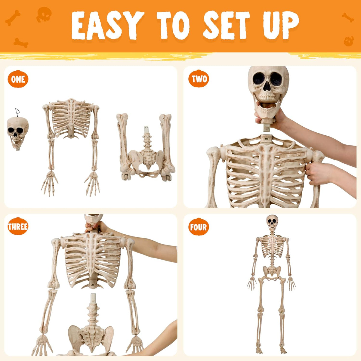 JOYIN 5 FT Posable Skeleton - Life Size Halloween Decoration