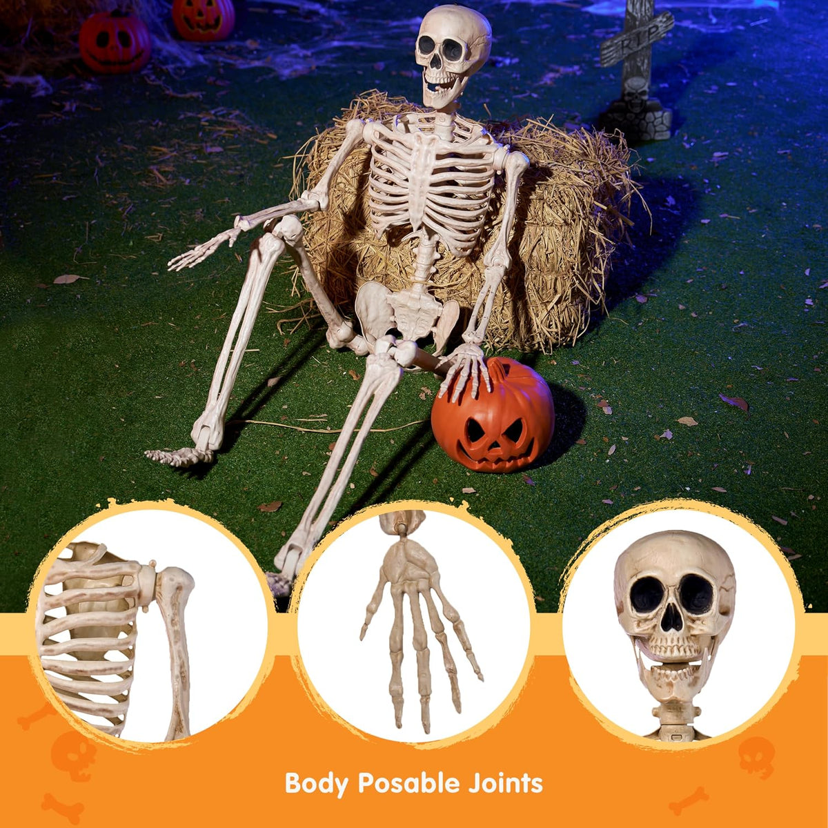 JOYIN 5 FT Posable Skeleton - Life Size Halloween Decoration