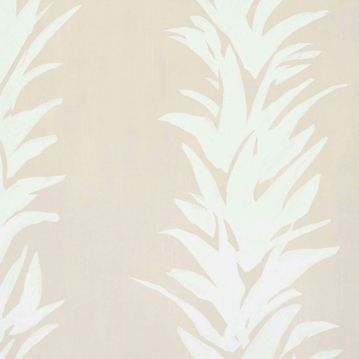 White Lotus Wallpaper