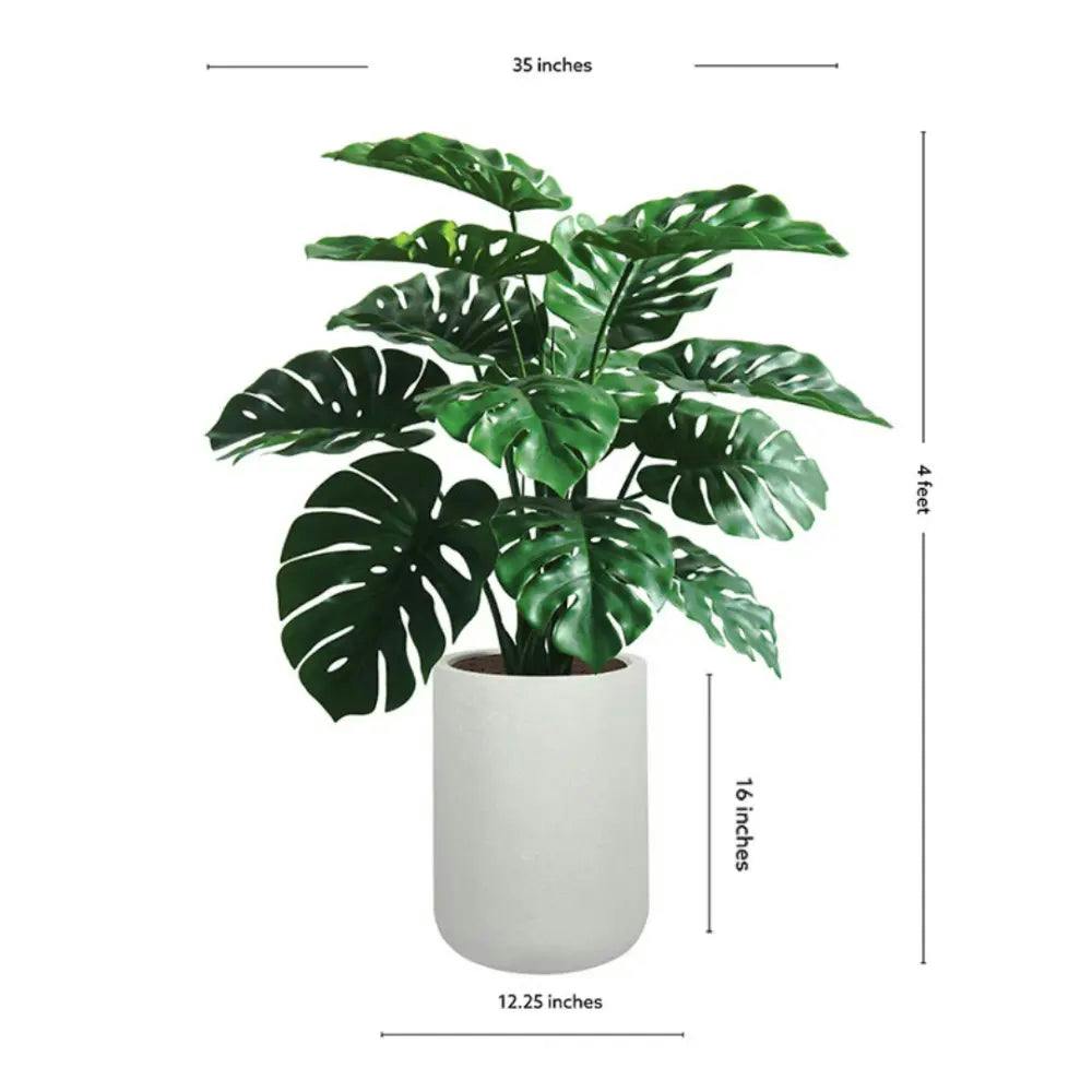 4' Monstera Plant in Modern White Planter