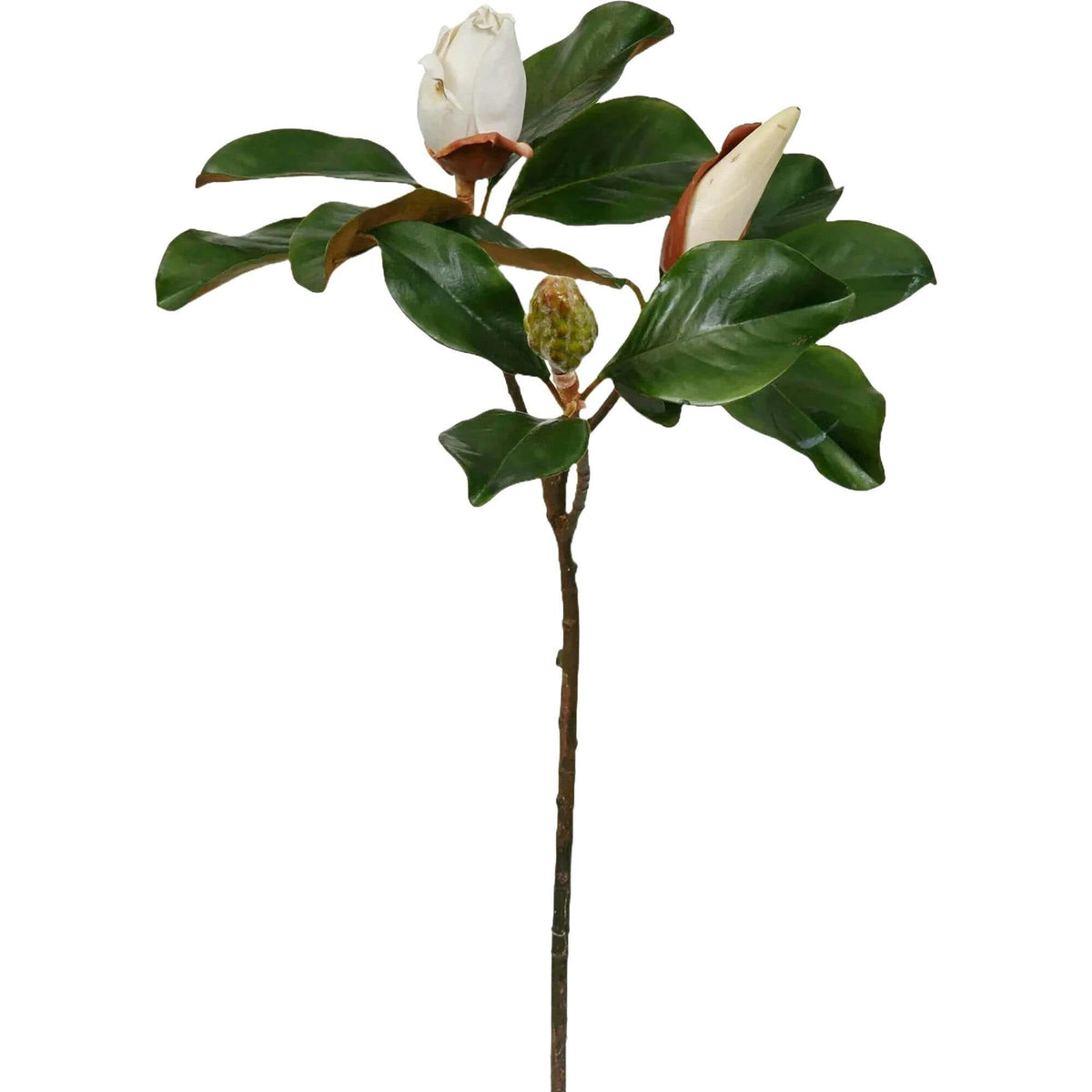 Real Touch Large Magnolia Bud Large Branch Stem 31"