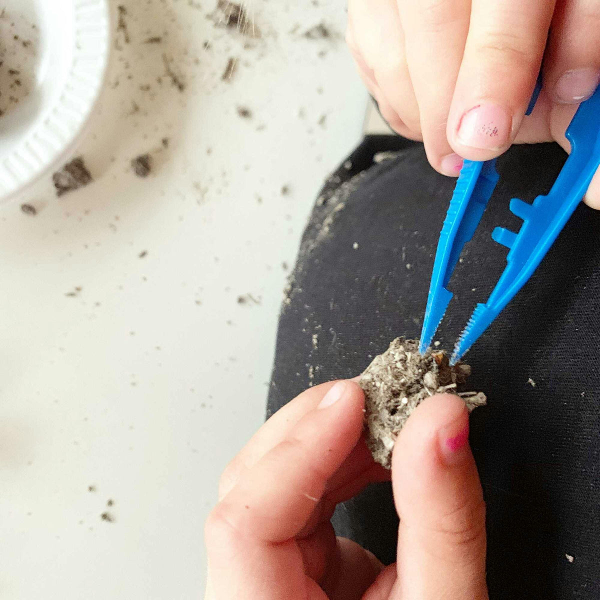 Pellet Mystery Science Lab Kit