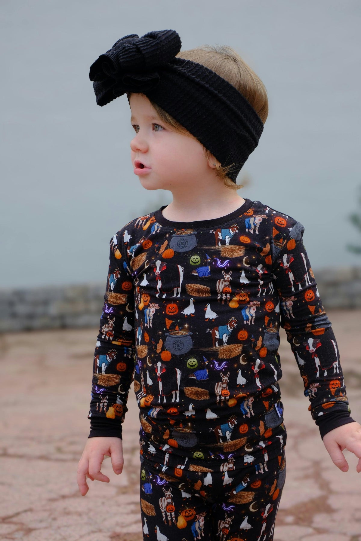 Halloween Farm 2 Piece Pajama Set