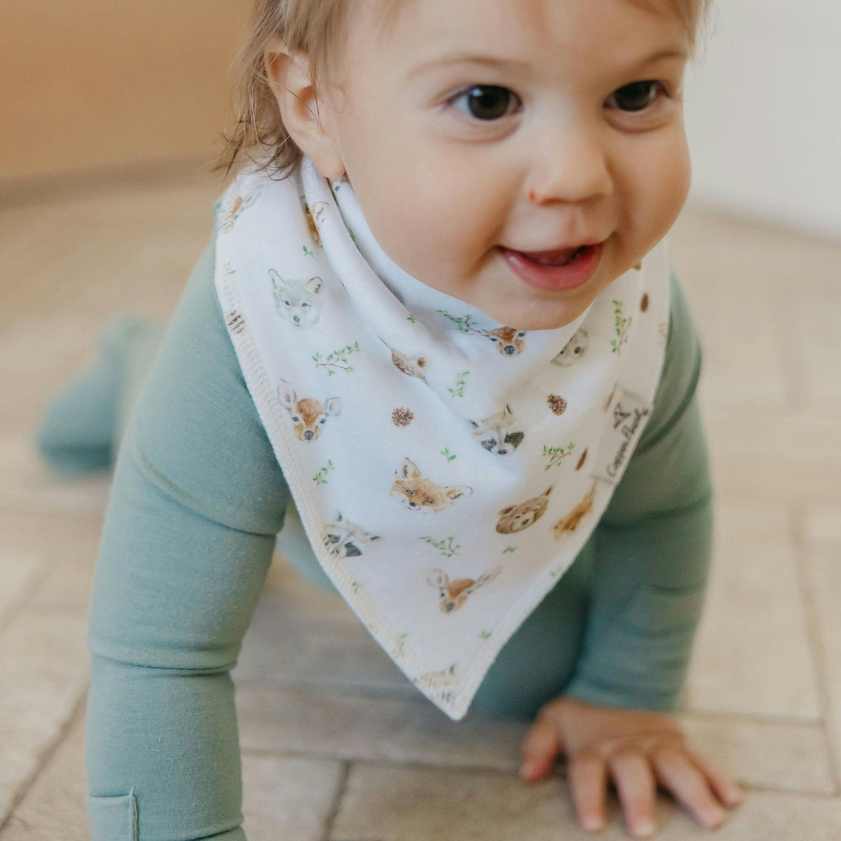 4 Pack Baby Bandana Bibs - Wilder