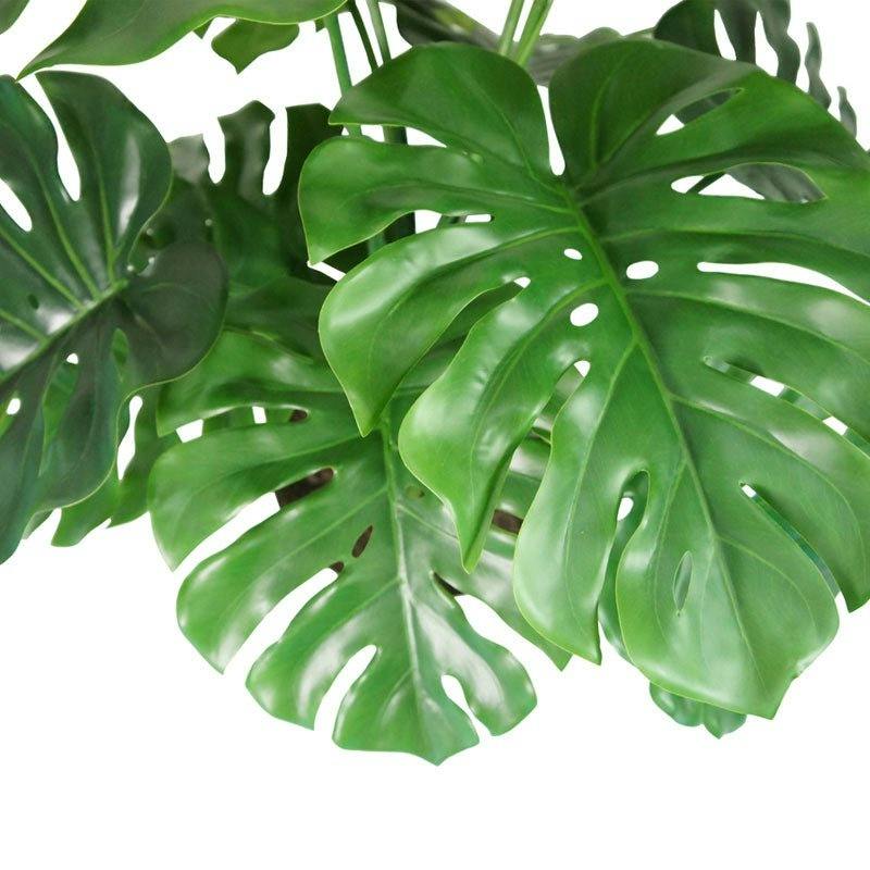 4' Monstera Plant in Modern White Planter