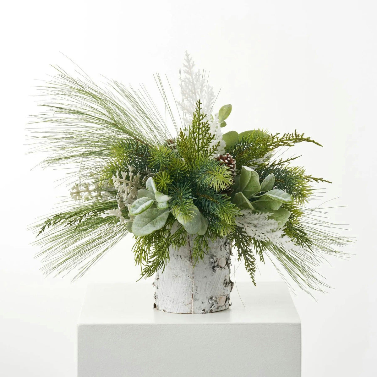 Mixed Winter Greenery & Pinecone Rustic Arrangement in White Birch Cylinder