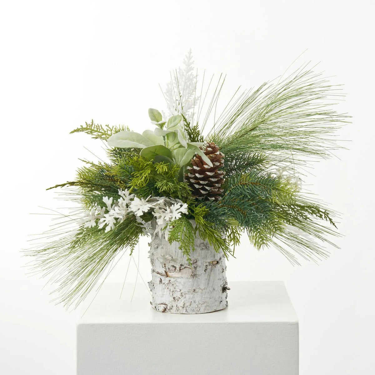 Mixed Winter Greenery & Pinecone Rustic Arrangement in White Birch Cylinder