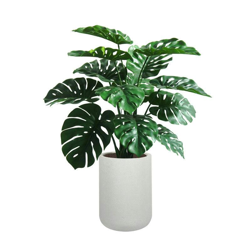 4' Monstera Plant in Modern White Planter