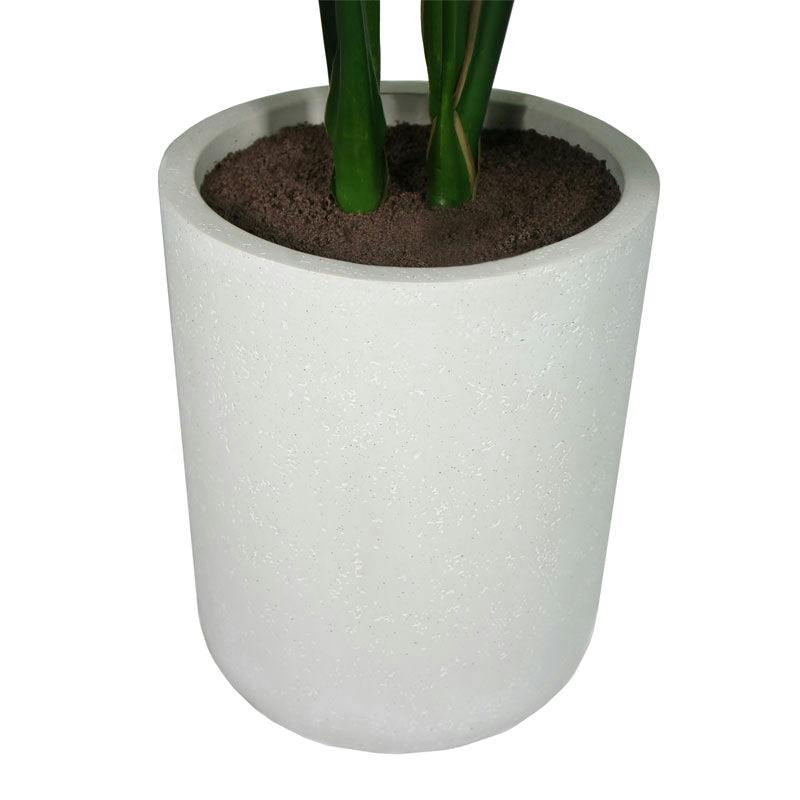 4' Monstera Plant in Modern White Planter