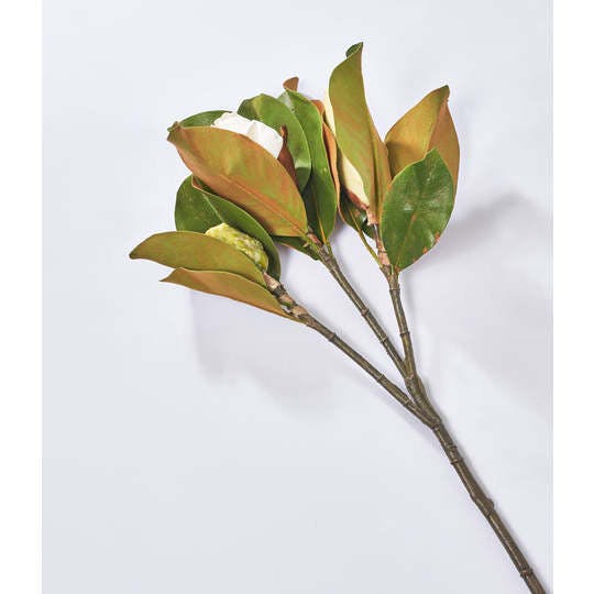 Real Touch Large Magnolia Bud Large Branch Stem 31"