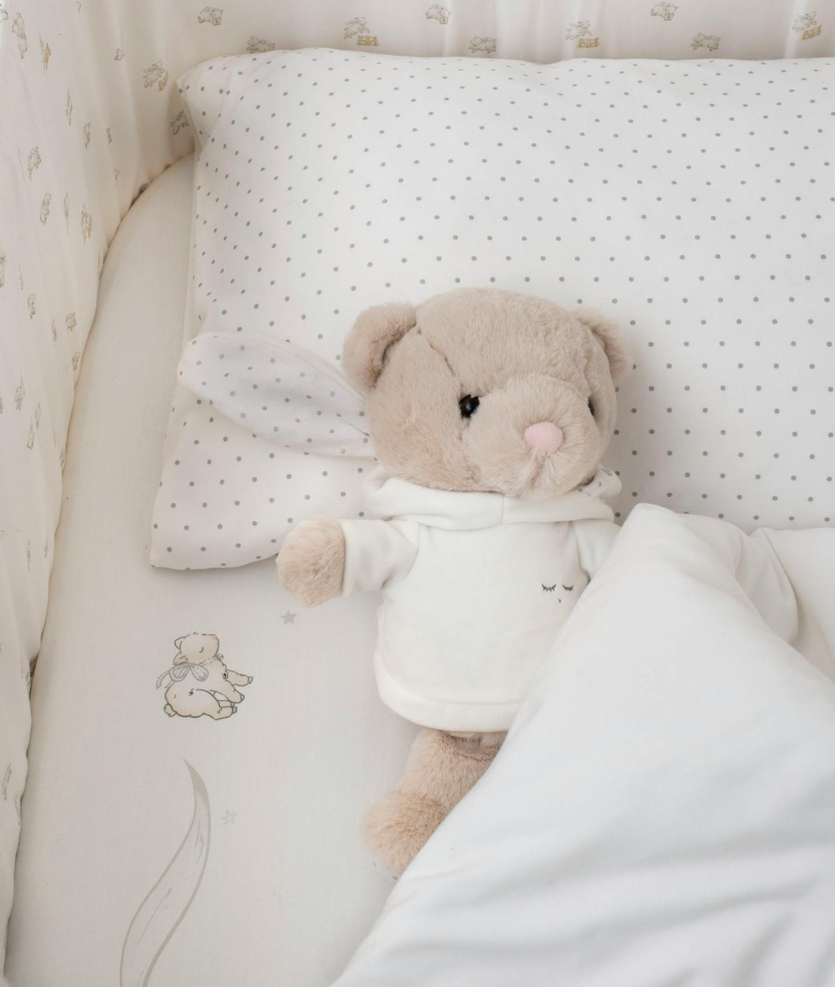 Teddy Tay
