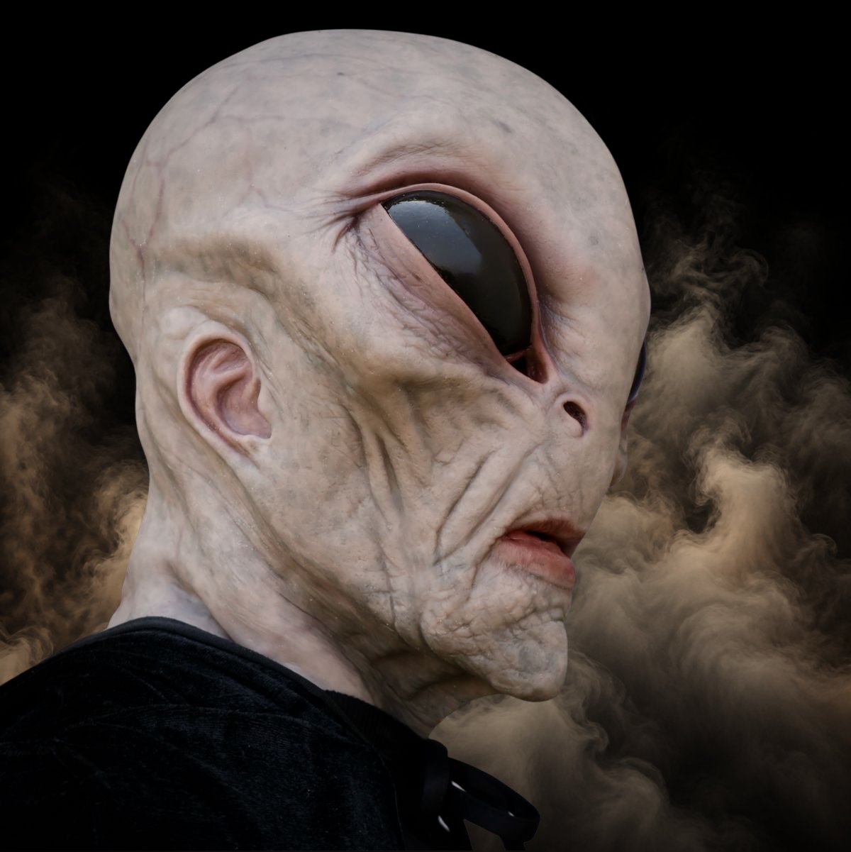Area 51 Alien Mask