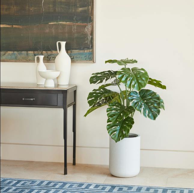 4' Monstera Plant in Modern White Planter