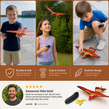 Remote Control Flapping-Wing Flying Bird Toy for Kids