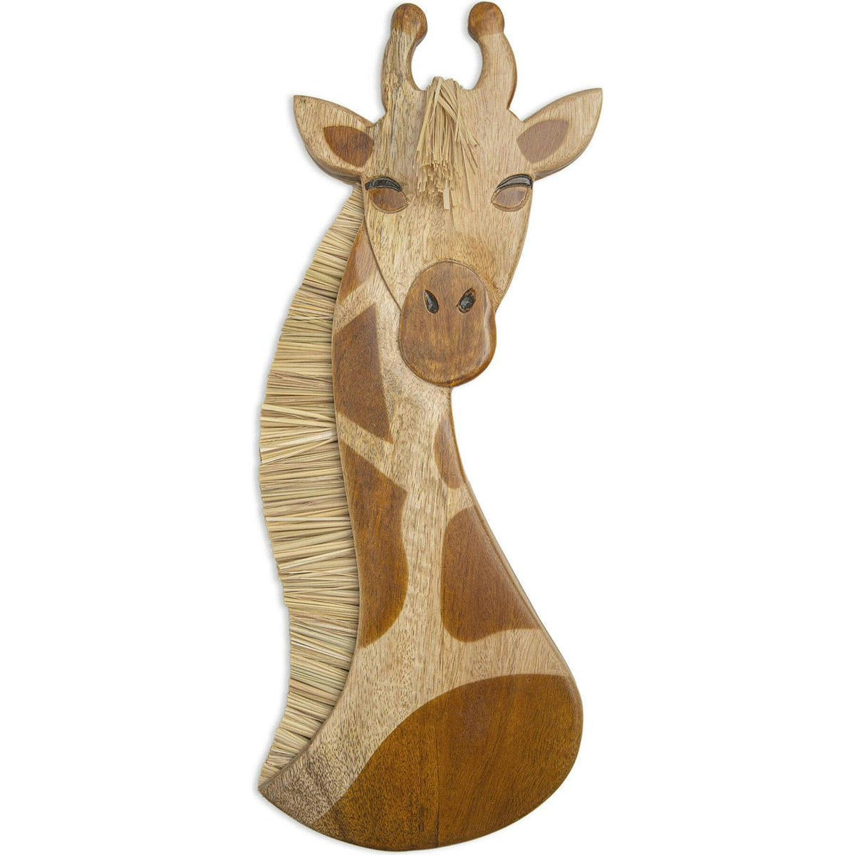 Safari Nursery Wall Decor