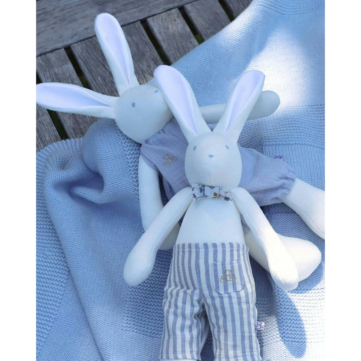 Arthus the Rabbit