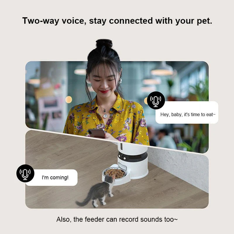 HEYBO Automatic Pet Feeder with Camera | App Controlled
