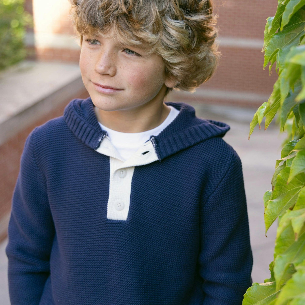 Organic Henley Sweater Hoodie