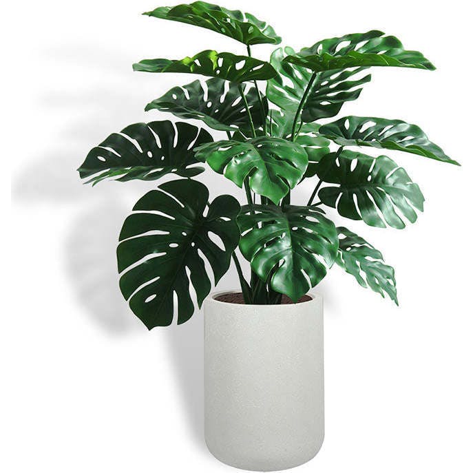 4' Monstera Plant in Modern White Planter