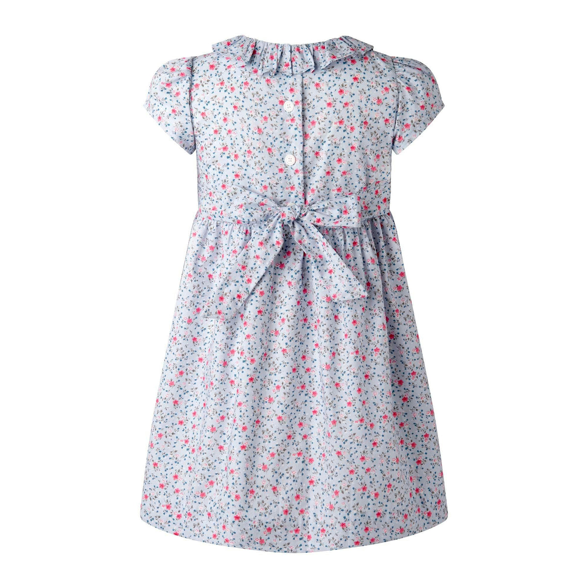 Mini Bouquet Frill Collar Dress