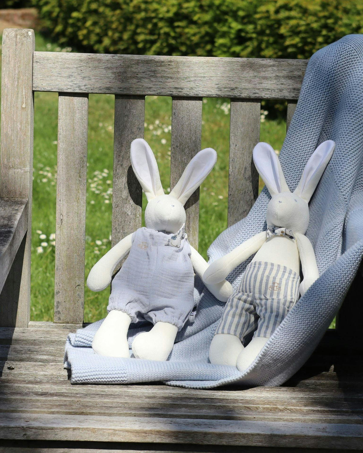 Arthus the Rabbit