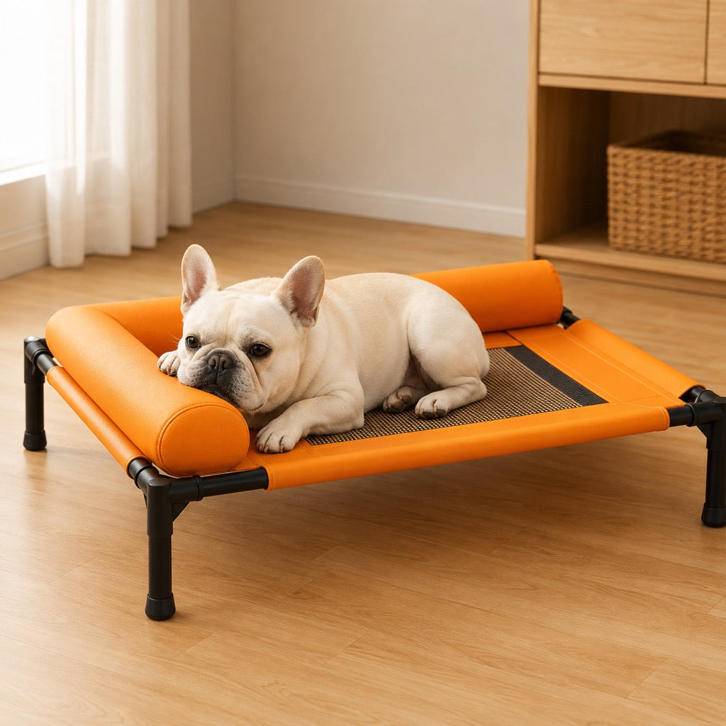 French Bulldog Elevated Dog Cot for All-Season Indoor Naps - Breathable Raised Pet Bed with Soft Bolsters for Cooler Rest & Easy Cleaning