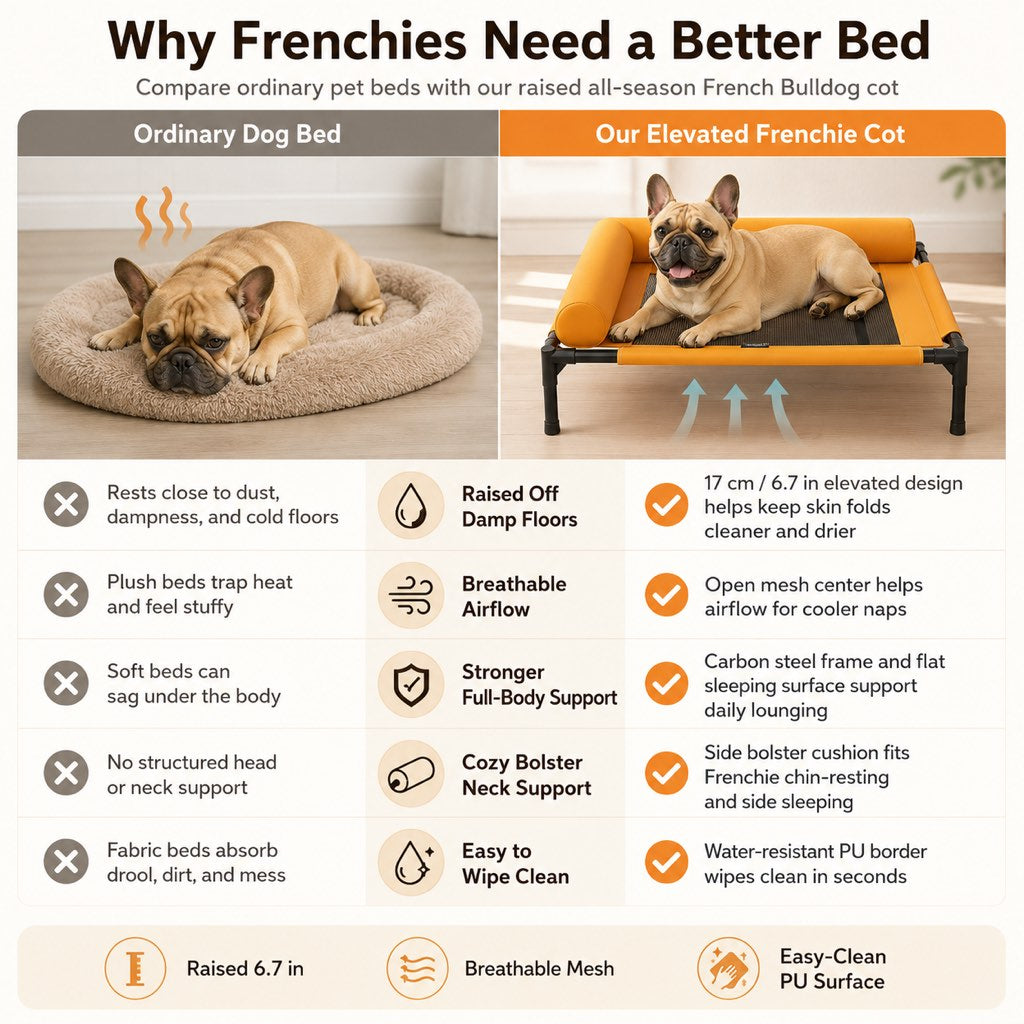 French Bulldog Elevated Dog Cot for All-Season Indoor Naps - Breathable Raised Pet Bed with Soft Bolsters for Cooler Rest & Easy Cleaning