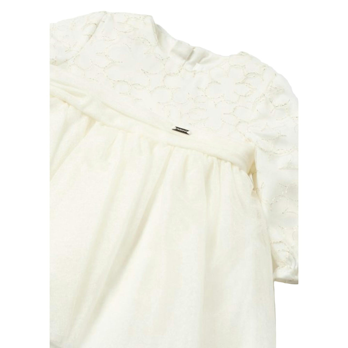 Ivory Embroidered Tulle Dress