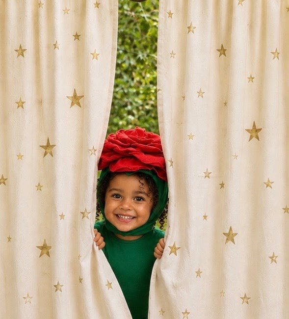Red Rose Fairy Halloween Costume