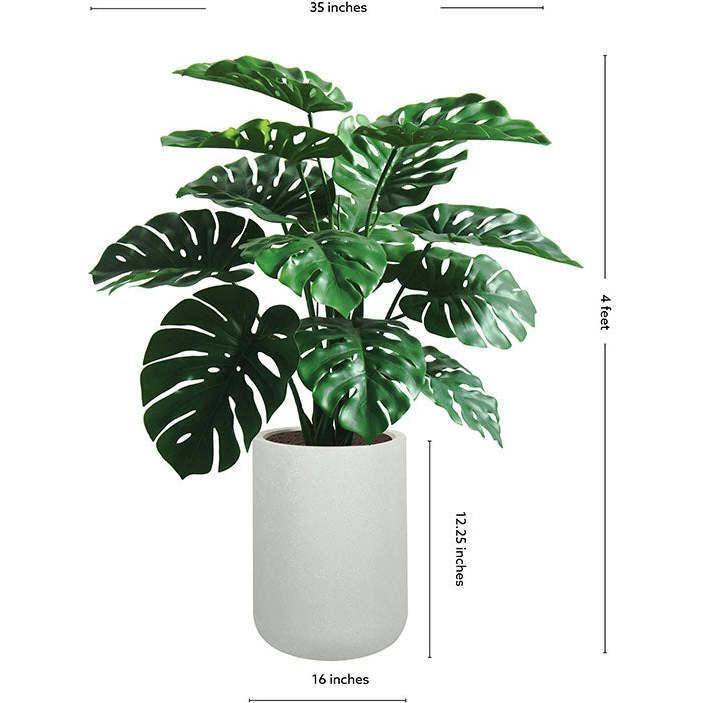 4' Monstera Plant in Modern White Planter