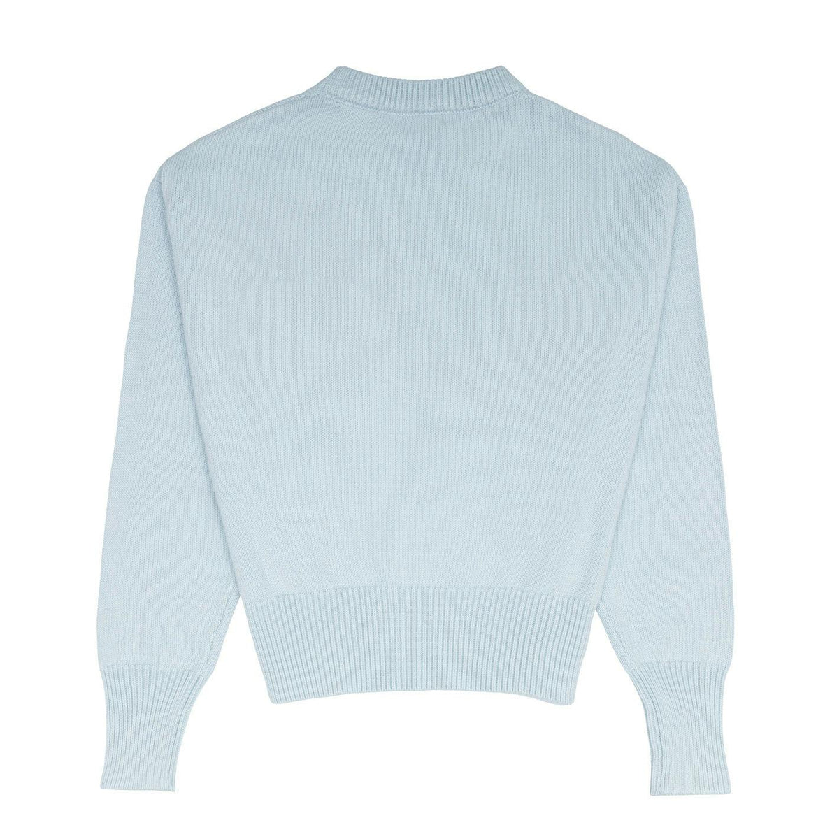 women's light blue cropped knit sweater