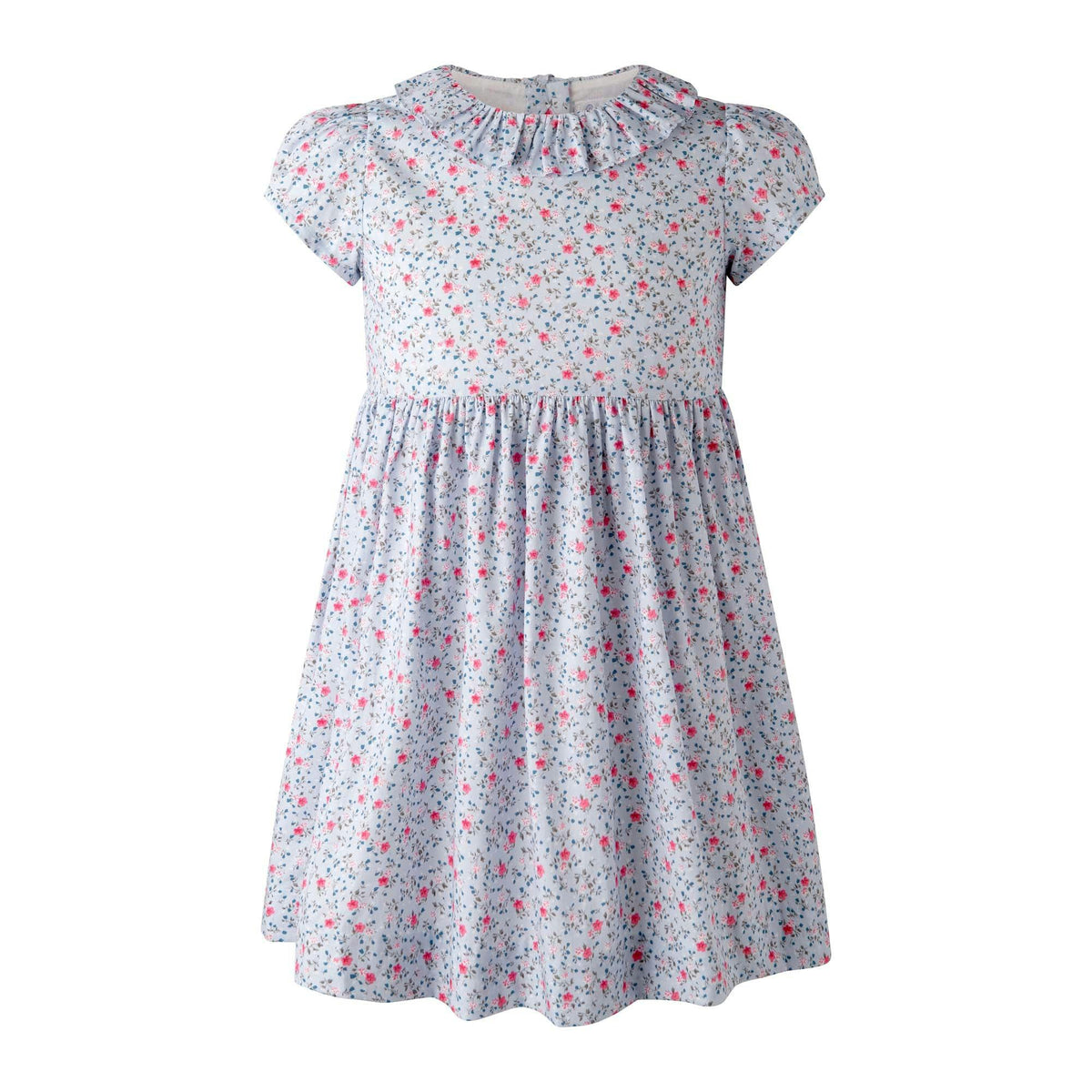 Mini Bouquet Frill Collar Dress
