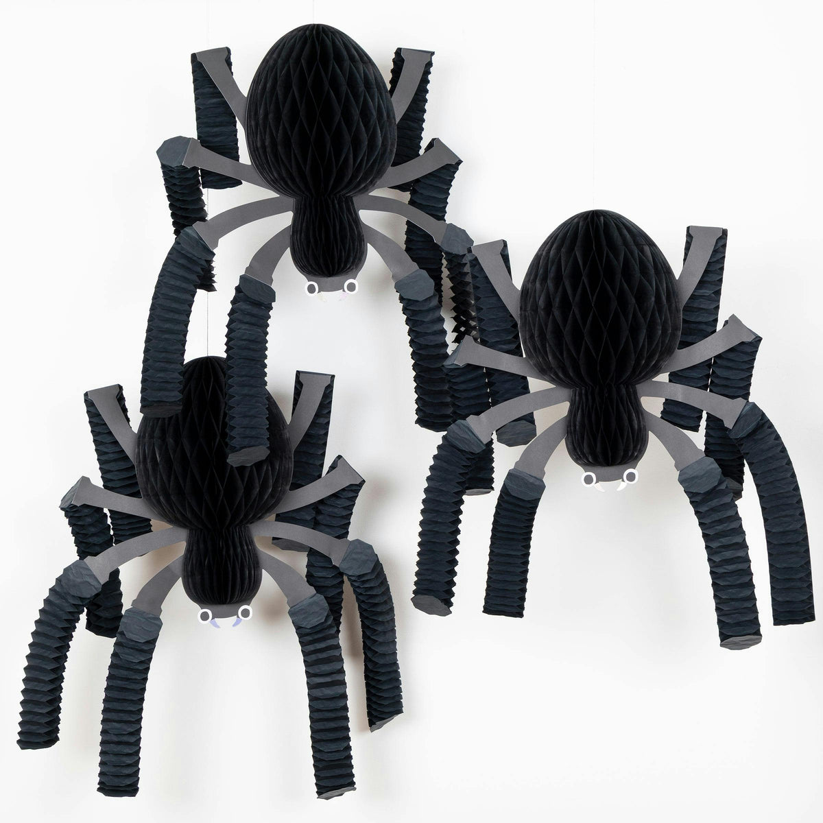 Honeycomb Spiders