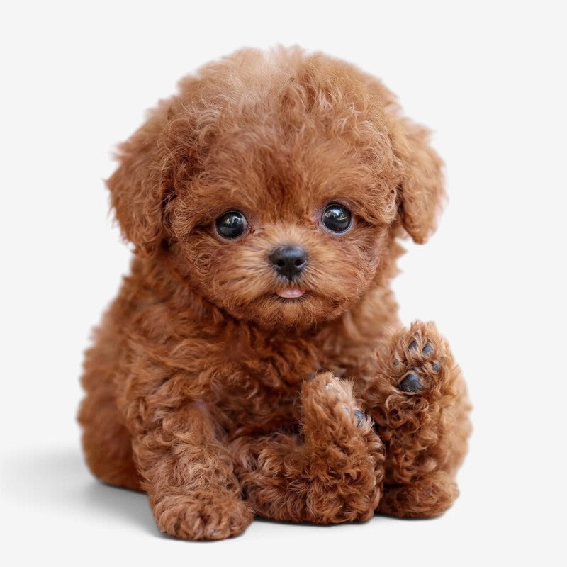 Pawvia Interactive Robot Puppy with Touch Response & Sounds
