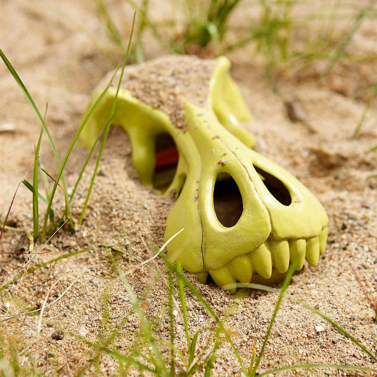 Sand Glove Dinosaur