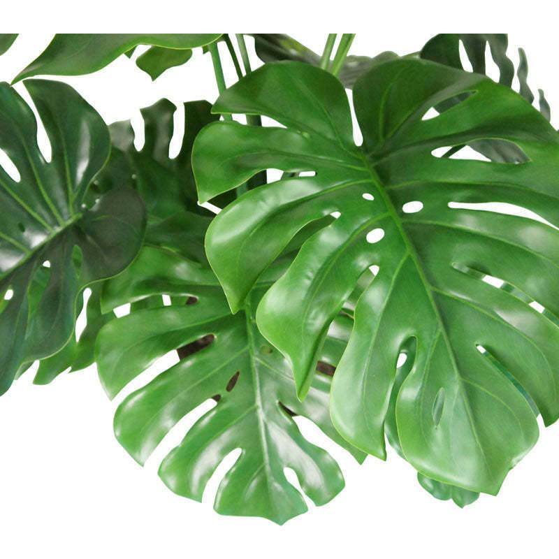 4' Monstera Plant in Modern White Planter