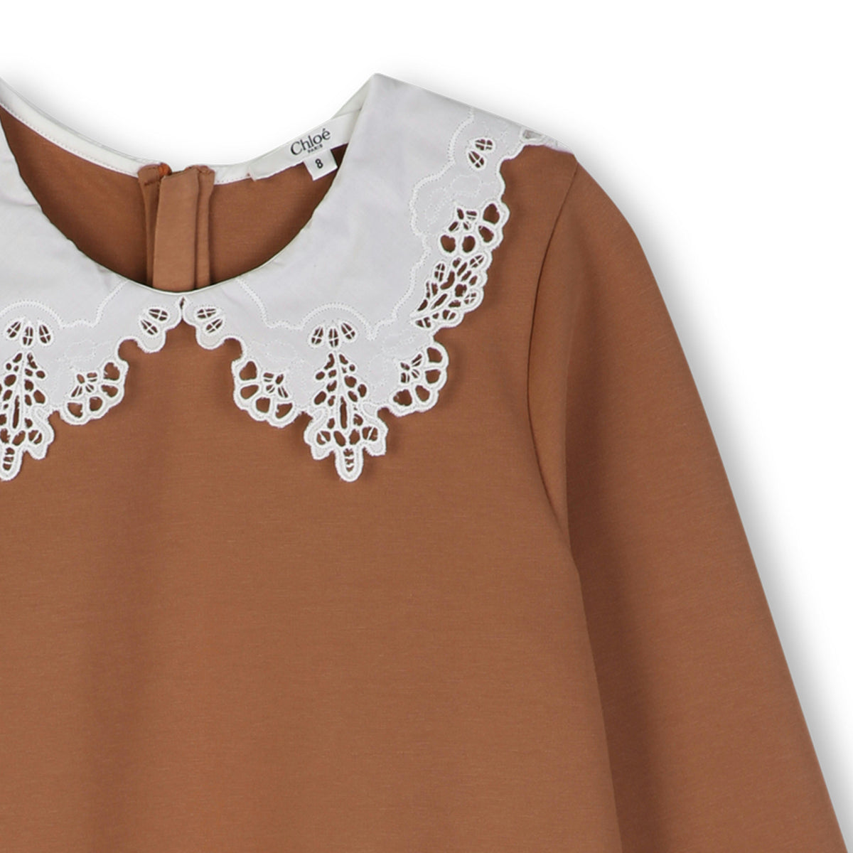 Brown Lace Collar Dress
