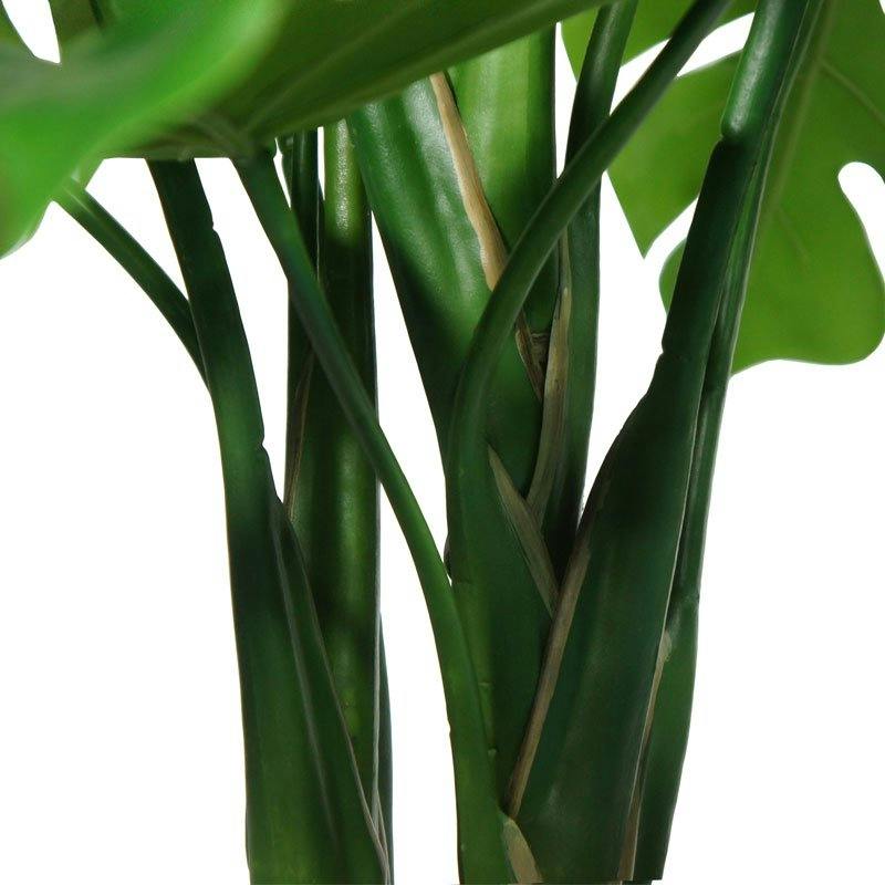 4' Monstera Plant in Modern White Planter