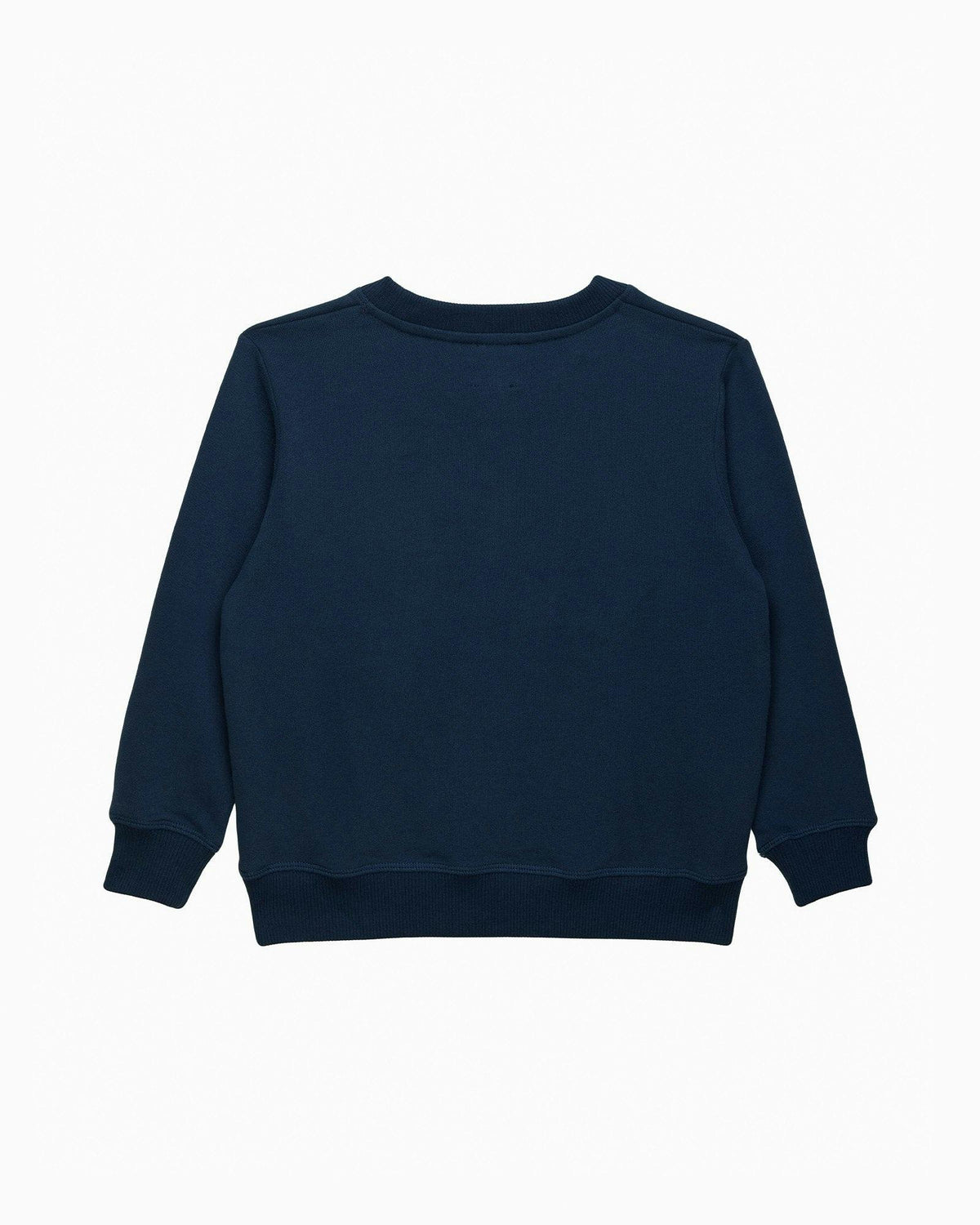 Augustus Lion  Sweatshirt
