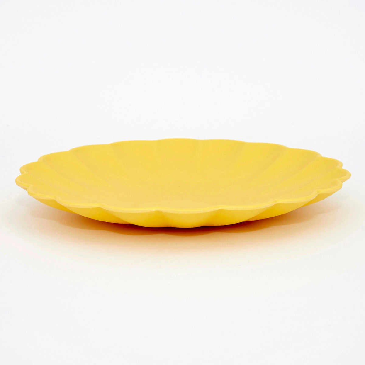 Small Multicolor Reusable Bamboo Plates