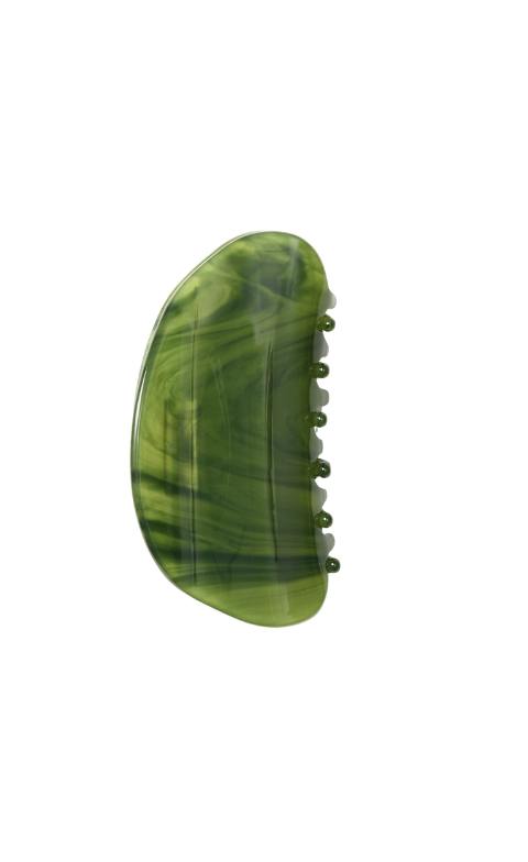 Crescent Claw in Algae